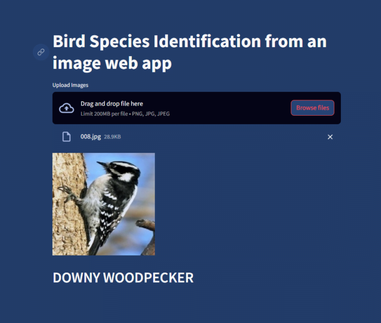 Image Based Bird Species Identification Using Machine Learning