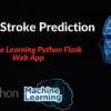 Brain Stroke Prediction Machine Learning Source Code - Image 2