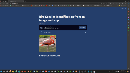 Image-Based Bird Species Identification Using Machine Learning