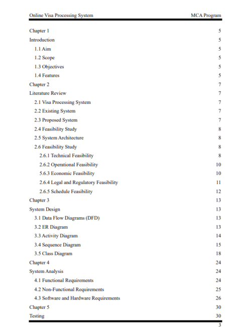 Online Visa Processing Project Report - Image 3